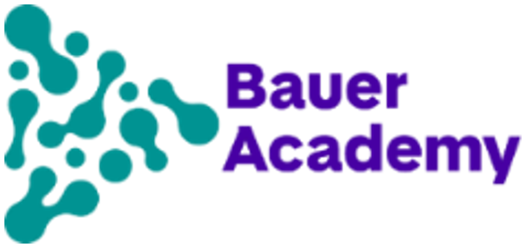 Bauer Academy logo